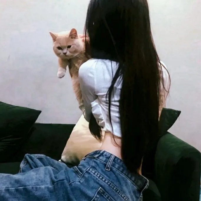 冰球小子第三季