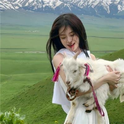 猛禽牧场